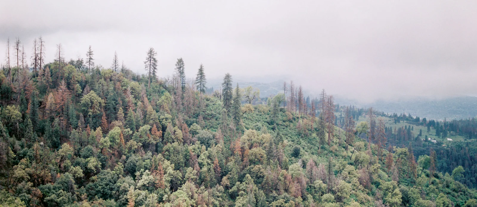 Environment